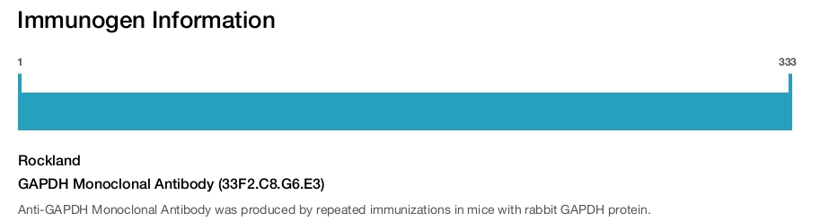 GAPDH Monoclonal Antibody (33F2.C8.G6.E3)