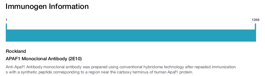APAF1 Monoclonal Antibody (2E10)