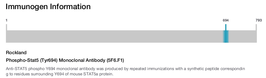 Phospho-Stat5 (Tyr694) Monoclonal Antibody (5F6.F1)