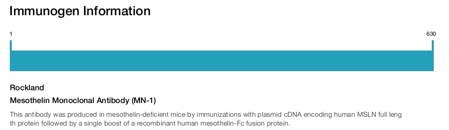 Mesothelin Monoclonal Antibody (MN-1)