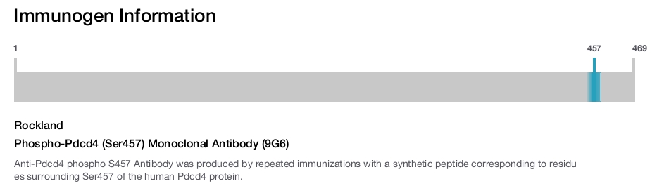 Phospho-Pdcd4 (Ser457) Monoclonal Antibody (9G6)