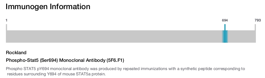 Phospho-Stat5 (Ser694) Monoclonal Antibody (5F6.F1)