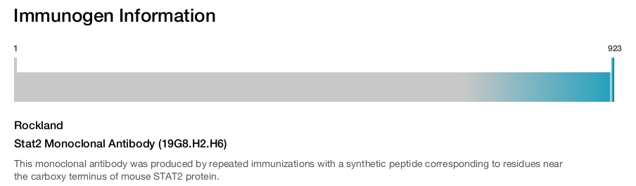 Stat2 Monoclonal Antibody (19G8.H2.H6)