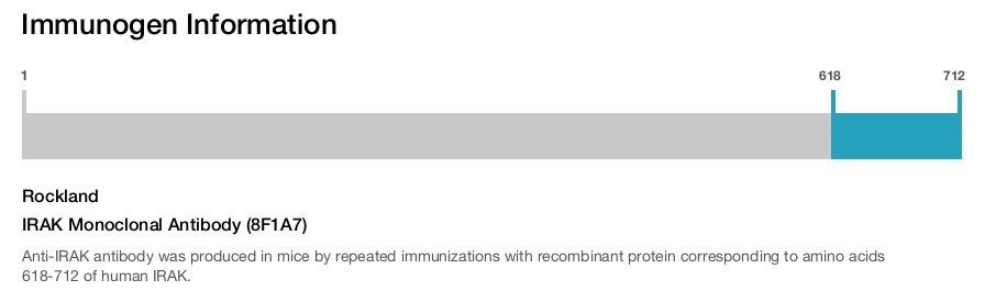 IRAK Monoclonal Antibody (8F1A7)