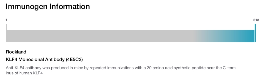 KLF4 Monoclonal Antibody (4E5C3)