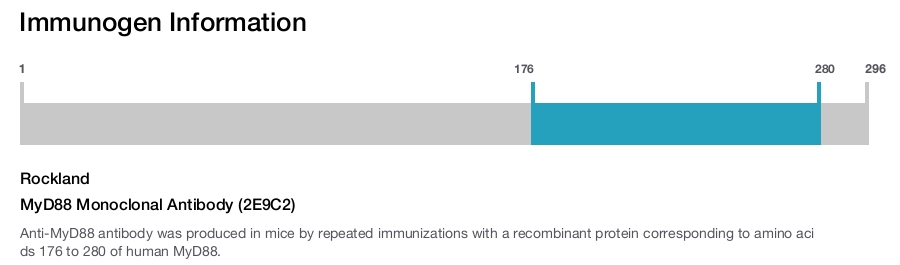 MyD88 Monoclonal Antibody (2E9C2)