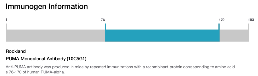 PUMA Monoclonal Antibody (10C5G1)