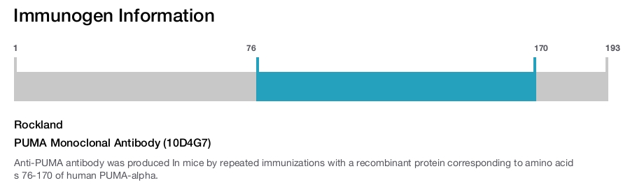 PUMA Monoclonal Antibody (10D4G7)