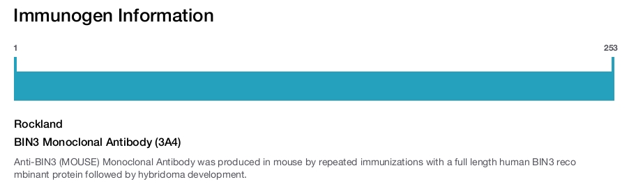 BIN3 Monoclonal Antibody (3A4)