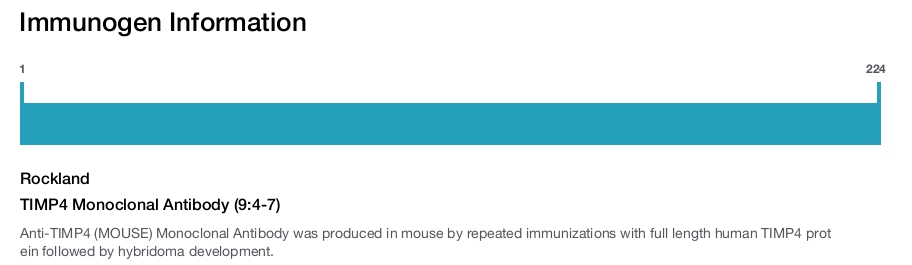 TIMP4 Monoclonal Antibody (9:4-7)