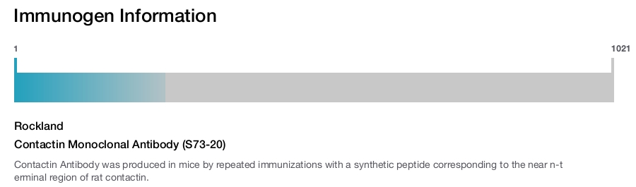 Contactin Monoclonal Antibody (S73-20)