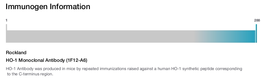 HO-1 Monoclonal Antibody (1F12-A6)