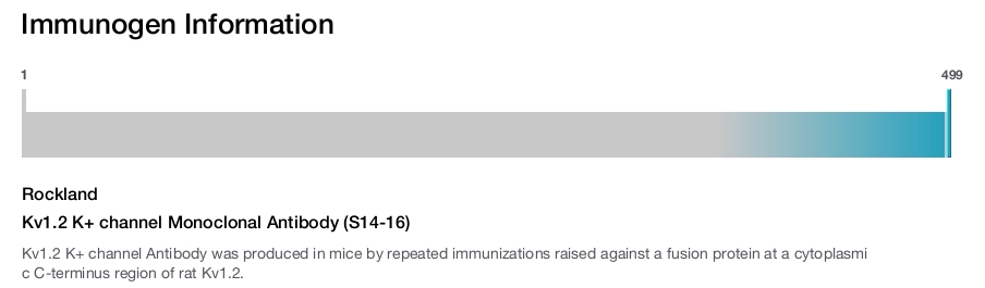 Kv1.2 K+ channel Monoclonal Antibody (S14-16)