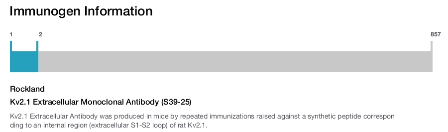 Kv2.1 Extracellular Monoclonal Antibody (S39-25)