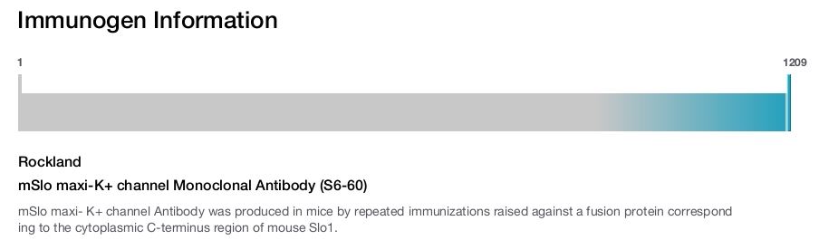 mSlo maxi-K+ channel Monoclonal Antibody (S6-60)