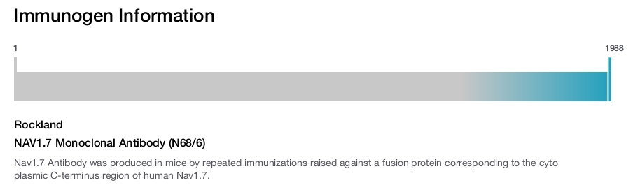 NAV1.7 Monoclonal Antibody (N68/6)