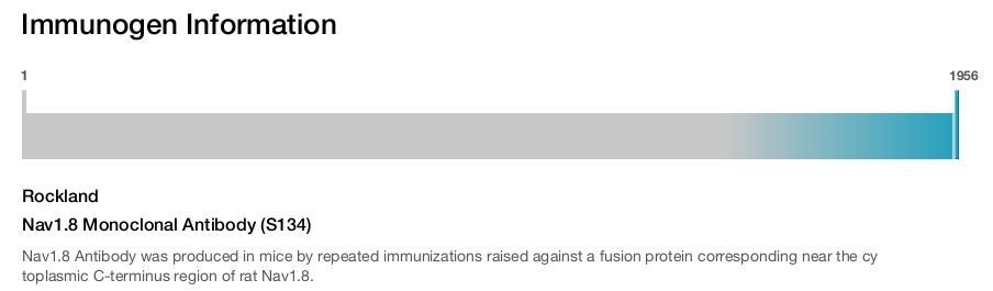 Nav1.8 Monoclonal Antibody (S134)
