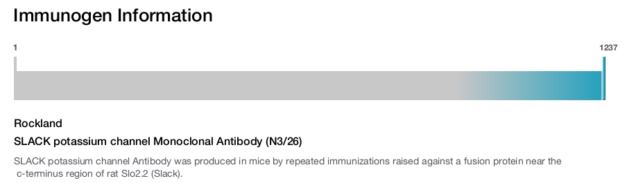 SLACK potassium channel Monoclonal Antibody (N3/26)