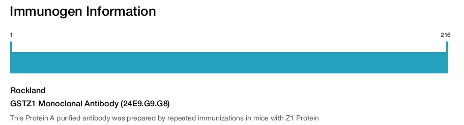 GSTZ1 Monoclonal Antibody (24E9.G9.G8)