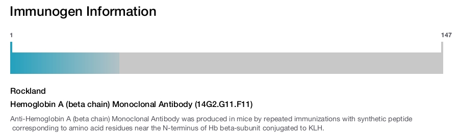 Hemoglobin A (beta chain) Monoclonal Antibody (14G2.G11.F11)