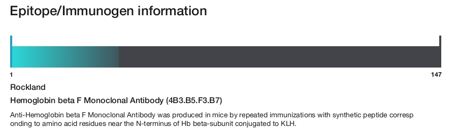 Hemoglobin beta F Monoclonal Antibody (4B3.B5.F3.B7)