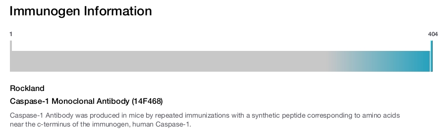 Caspase-1 Monoclonal Antibody (14F468)