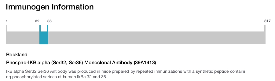 Phospho-IKB alpha (Ser32, Ser36) Monoclonal Antibody (39A1413)