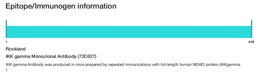 IKK gamma Monoclonal Antibody (72C627)