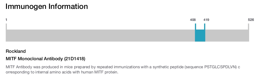 MITF Monoclonal Antibody (21D1418)