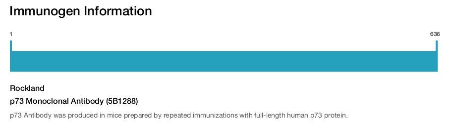 p73 Monoclonal Antibody (5B1288)