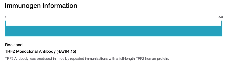 TRF2 Monoclonal Antibody (4A794.15)