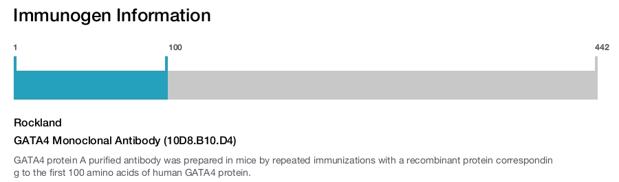GATA4 Monoclonal Antibody (10D8.B10.D4)
