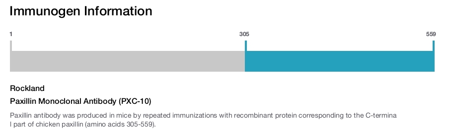 Paxillin Monoclonal Antibody (PXC-10)