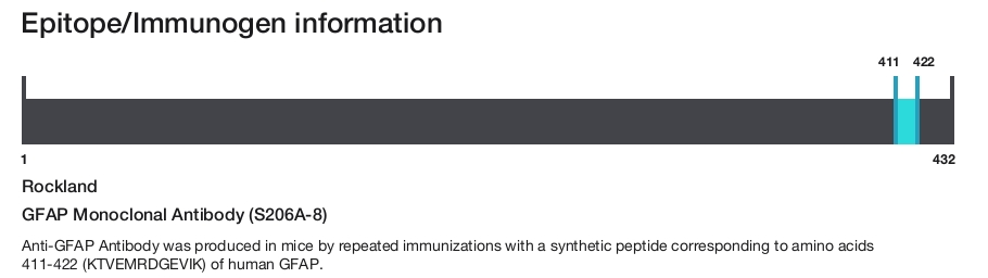 GFAP Monoclonal Antibody (S206A-8)
