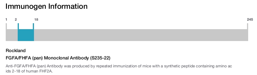 FGFA/FHFA (pan) Monoclonal Antibody (S235-22)