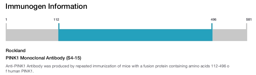 PINK1 Monoclonal Antibody (S4-15)