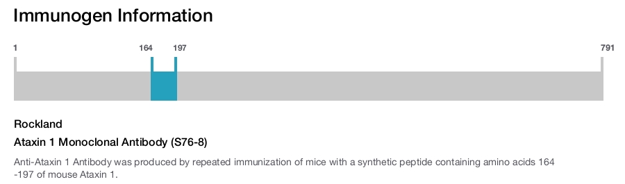 Ataxin 1 Monoclonal Antibody (S76-8)