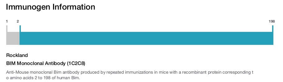 BIM Monoclonal Antibody (1C2C8)