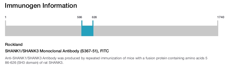 SHANK1/SHANK3 Monoclonal Antibody (S367-51), FITC