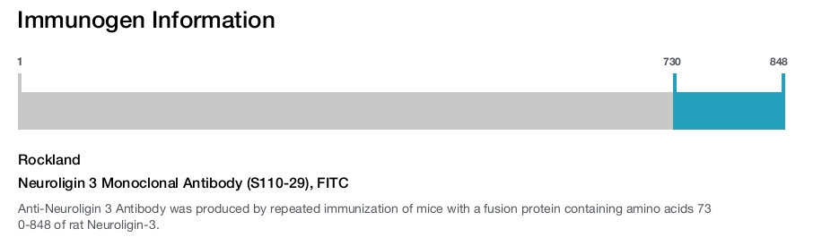 Neuroligin 3 Monoclonal Antibody (S110-29), FITC