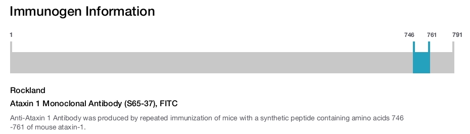 Ataxin 1 Monoclonal Antibody (S65-37), FITC