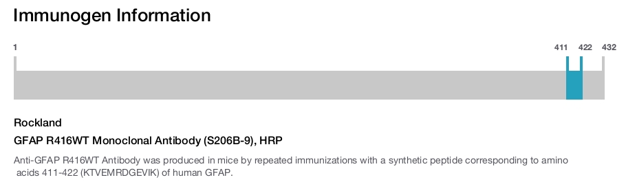 GFAP R416WT Monoclonal Antibody (S206B-9), HRP