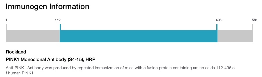 PINK1 Monoclonal Antibody (S4-15), HRP