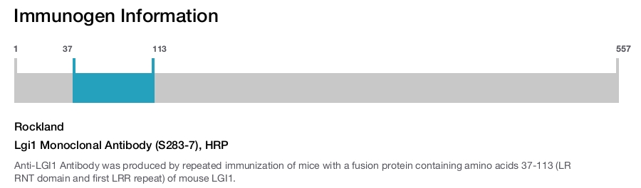 Lgi1 Monoclonal Antibody (S283-7), HRP