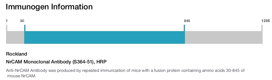 NrCAM Monoclonal Antibody (S364-51), HRP