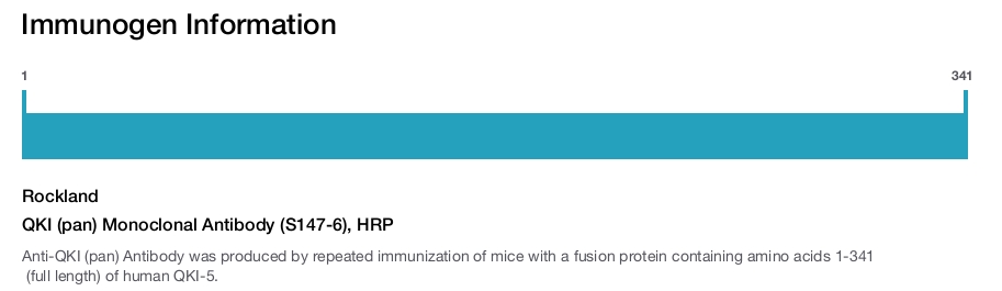 QKI (pan) Monoclonal Antibody (S147-6), HRP