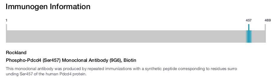 Phospho-Pdcd4 (Ser457) Monoclonal Antibody (9G6), Biotin