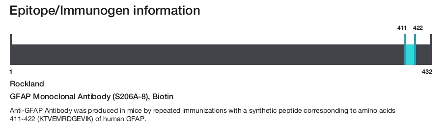 GFAP Monoclonal Antibody (S206A-8), Biotin