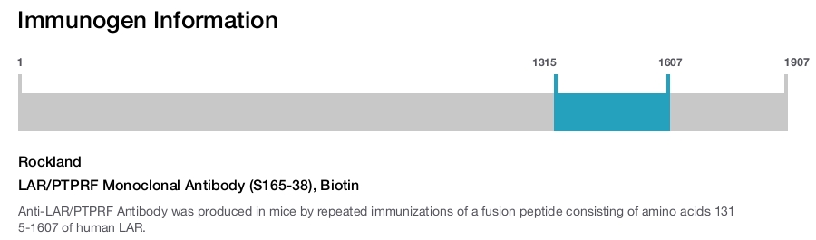 LAR/PTPRF Monoclonal Antibody (S165-38), Biotin
