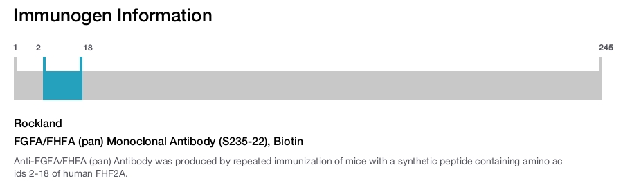 FGFA/FHFA (pan) Monoclonal Antibody (S235-22), Biotin
